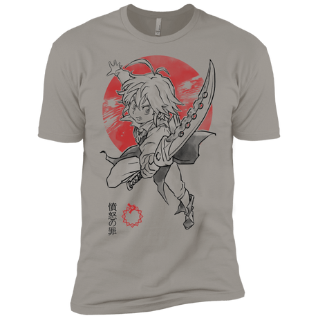 T-Shirts Light Grey / YXS Dragon Wrath Boys Premium T-Shirt