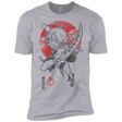 T-Shirts Heather Grey / X-Small Dragon Wrath Men's Premium T-Shirt