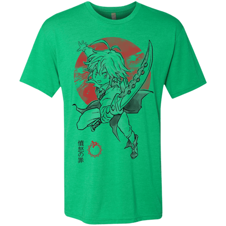 T-Shirts Envy / S Dragon Wrath Men's Triblend T-Shirt