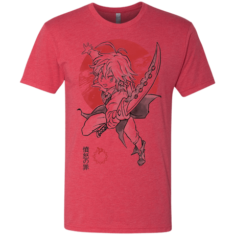 T-Shirts Vintage Red / S Dragon Wrath Men's Triblend T-Shirt