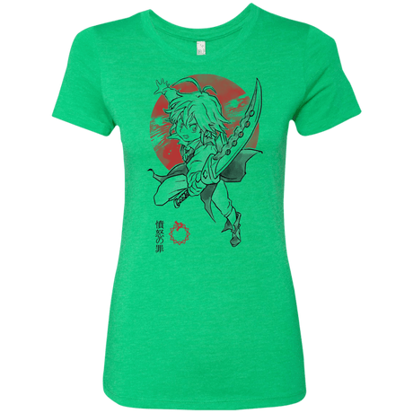 T-Shirts Envy / S Dragon Wrath Women's Triblend T-Shirt