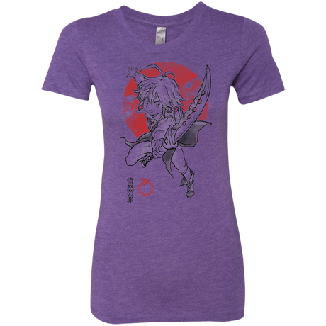 T-Shirts Purple Rush / S Dragon Wrath Women's Triblend T-Shirt