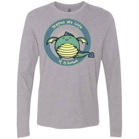 T-Shirts Heather Grey / Small Dragons are Cute Men's Premium Long Sleeve