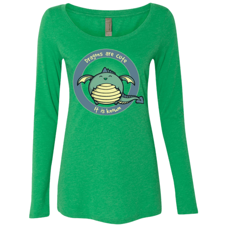 T-Shirts Envy / Small Dragons are Cute Women's Triblend Long Sleeve Shirt