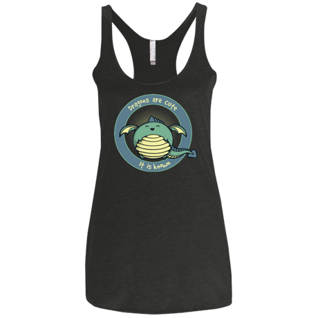 T-Shirts Vintage Black / X-Small Dragons are Cute Women's Triblend Racerback Tank