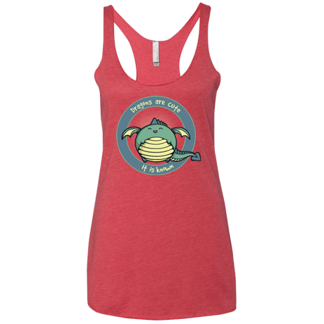 T-Shirts Vintage Red / X-Small Dragons are Cute Women's Triblend Racerback Tank