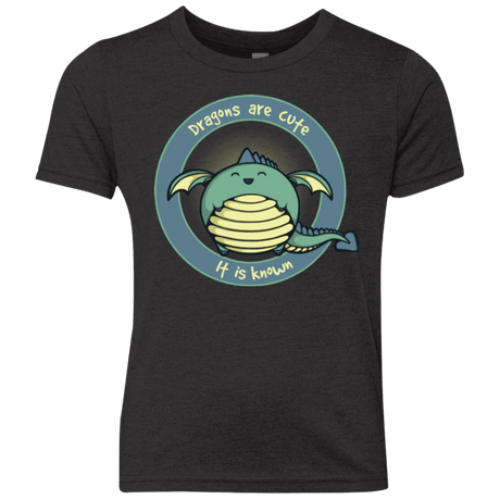 T-Shirts Vintage Black / YXS Dragons are Cute Youth Triblend T-Shirt