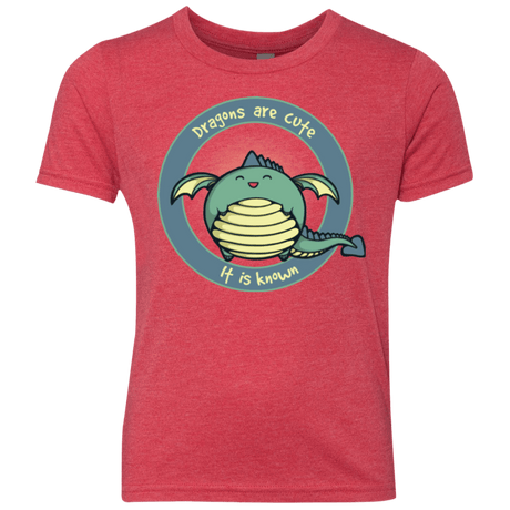 T-Shirts Vintage Red / YXS Dragons are Cute Youth Triblend T-Shirt