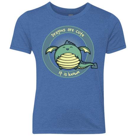 T-Shirts Vintage Royal / YXS Dragons are Cute Youth Triblend T-Shirt