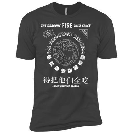 T-Shirts Heavy Metal / YXS Dragons Fire Chili Sauce Boys Premium T-Shirt