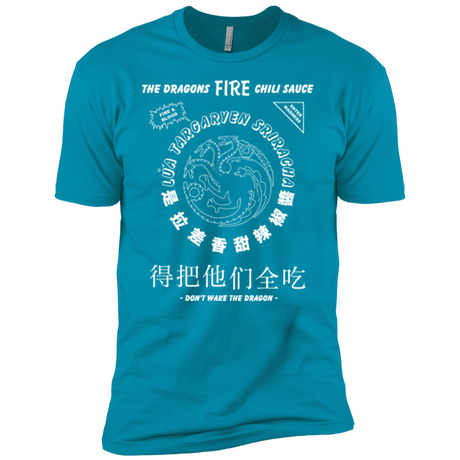 T-Shirts Turquoise / YXS Dragons Fire Chili Sauce Boys Premium T-Shirt