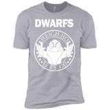 T-Shirts Heather Grey / YXS Dwarfs Boys Premium T-Shirt