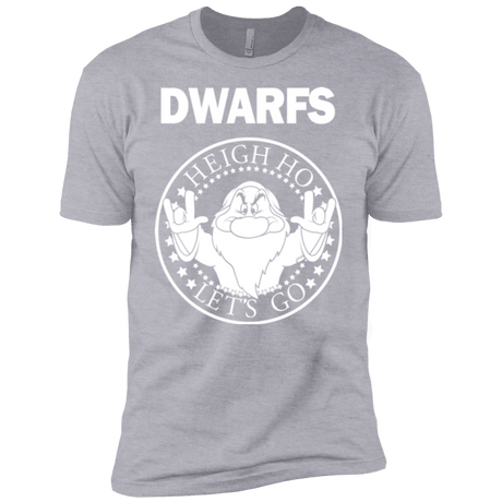T-Shirts Heather Grey / YXS Dwarfs Boys Premium T-Shirt