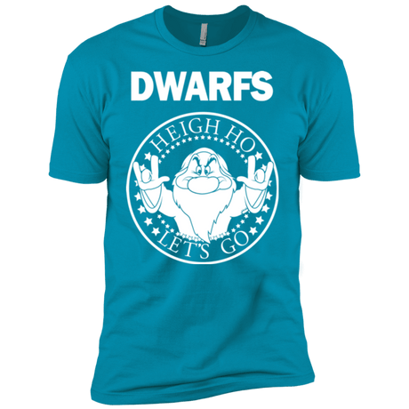 T-Shirts Turquoise / YXS Dwarfs Boys Premium T-Shirt