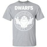 T-Shirts Sport Grey / YXS Dwarfs Youth T-Shirt