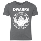 T-Shirts Premium Heather / YXS Dwarfs Youth Triblend T-Shirt