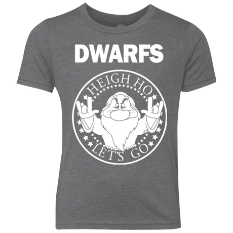 T-Shirts Premium Heather / YXS Dwarfs Youth Triblend T-Shirt