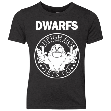 T-Shirts Vintage Black / YXS Dwarfs Youth Triblend T-Shirt