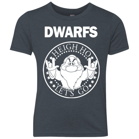 T-Shirts Vintage Navy / YXS Dwarfs Youth Triblend T-Shirt