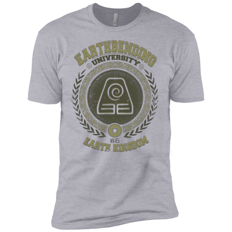 T-Shirts Heather Grey / YXS Earthbending university Boys Premium T-Shirt