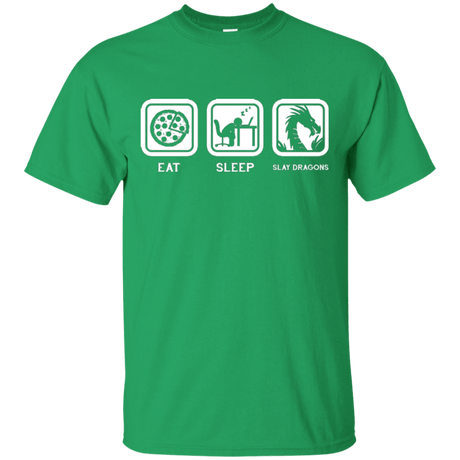 T-Shirts Irish Green / Small Eat Sleep slay dragons T-Shirt