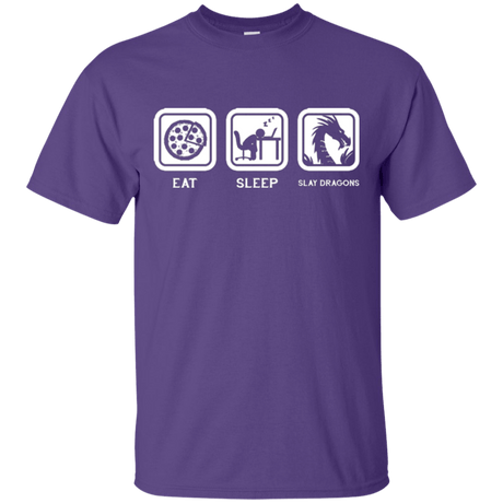 T-Shirts Purple / Small Eat Sleep slay dragons T-Shirt