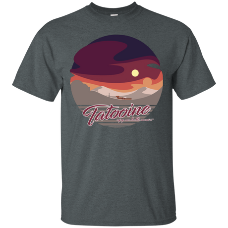 T-Shirts Dark Heather / S Enjoy Our Double Sunset T-Shirt