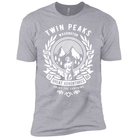 T-Shirts Heather Grey / YXS ENJOY THE CURTAINS Boys Premium T-Shirt