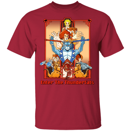 T-Shirts Cardinal / YXS Enter The Thundercats Youth T-Shirt