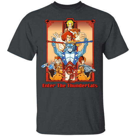 T-Shirts Dark Heather / YXS Enter The Thundercats Youth T-Shirt