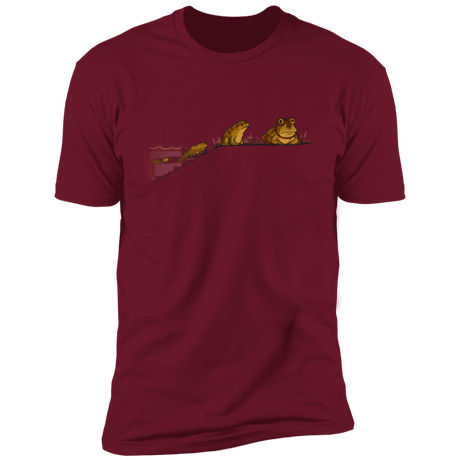 T-Shirts Cardinal / S Evolution Men's Premium T-Shirt