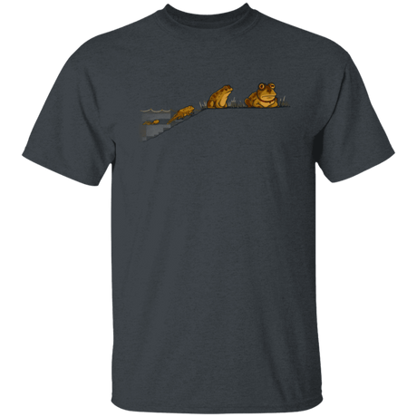 T-Shirts Dark Heather / S Evolution T-Shirt