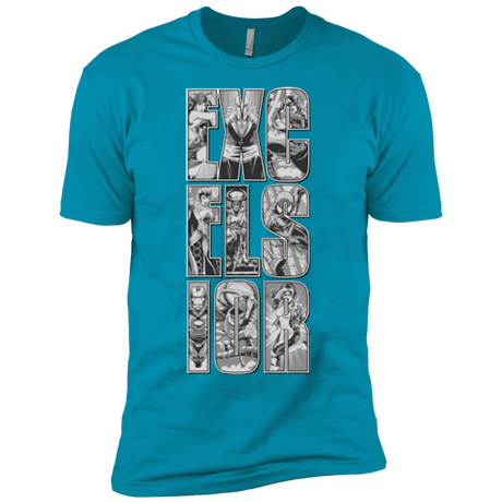 T-Shirts Turquoise / YXS Excelsior Boys Premium T-Shirt