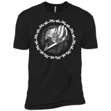 T-Shirts Black / YXS Fairytail Boys Premium T-Shirt