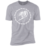 T-Shirts Heather Grey / YXS Fairytail Boys Premium T-Shirt