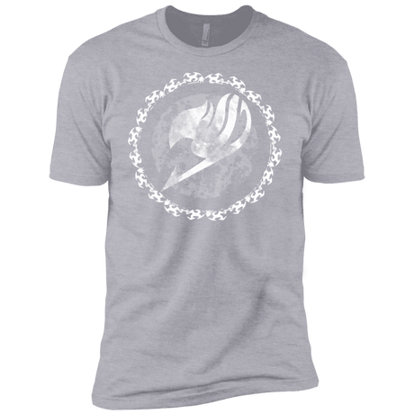 T-Shirts Heather Grey / YXS Fairytail Boys Premium T-Shirt