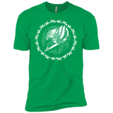 T-Shirts Kelly Green / YXS Fairytail Boys Premium T-Shirt