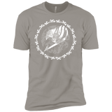 T-Shirts Light Grey / YXS Fairytail Boys Premium T-Shirt