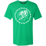 T-Shirts Envy / S Fairytail Men's Triblend T-Shirt