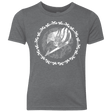 T-Shirts Premium Heather / YXS Fairytail Youth Triblend T-Shirt