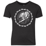 T-Shirts Vintage Black / YXS Fairytail Youth Triblend T-Shirt