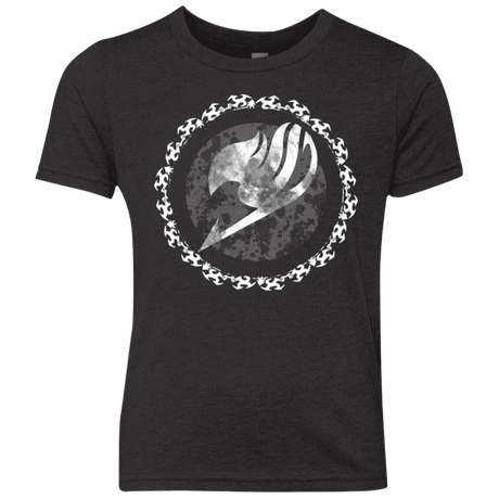 T-Shirts Vintage Black / YXS Fairytail Youth Triblend T-Shirt