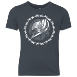 T-Shirts Vintage Navy / YXS Fairytail Youth Triblend T-Shirt