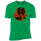 T-Shirts Kelly Green / YXS Familiar Reptile Boys Premium T-Shirt