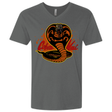 T-Shirts Heavy Metal / X-Small Familiar Reptile Men's Premium V-Neck