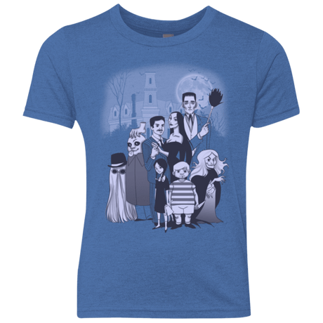 T-Shirts Vintage Royal / YXS Family Portrait Youth Triblend T-Shirt
