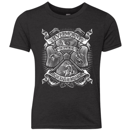 T-Shirts Vintage Black / YXS Fantastic Crest Youth Triblend T-Shirt
