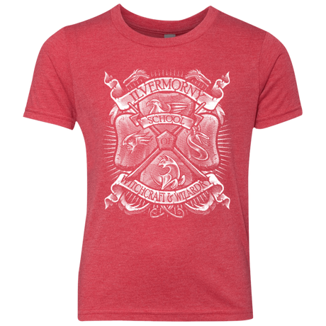 T-Shirts Vintage Red / YXS Fantastic Crest Youth Triblend T-Shirt