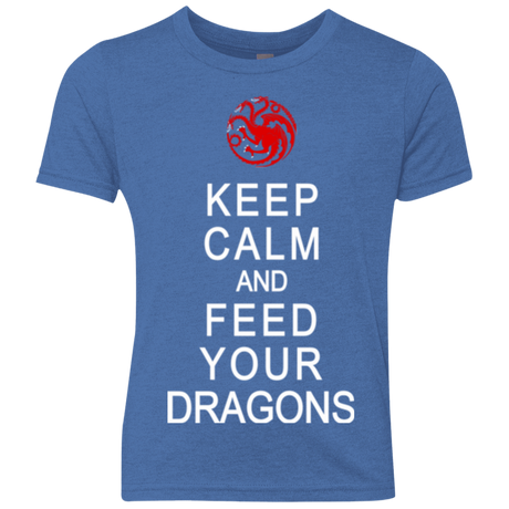 T-Shirts Vintage Royal / YXS Feed dragons Youth Triblend T-Shirt