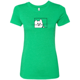 T-Shirts Envy / S Feline Flip Women's Triblend T-Shirt